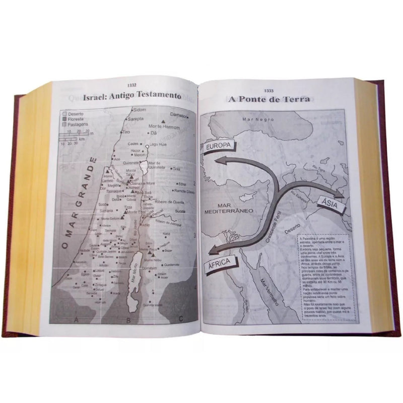 Bíblia de estudo king James Vintage - Letra Hipergigante + Blind - Enciclopédia da Vida dos Personagens biblicos